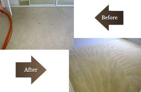 Carpet Steam Cleaning